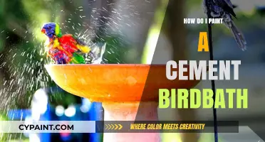 DIY Guide: Painting a Cement Birdbath for a Colorful Garden