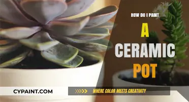 Mastering Ceramic Pot Painting: Easy Steps for Stunning Results