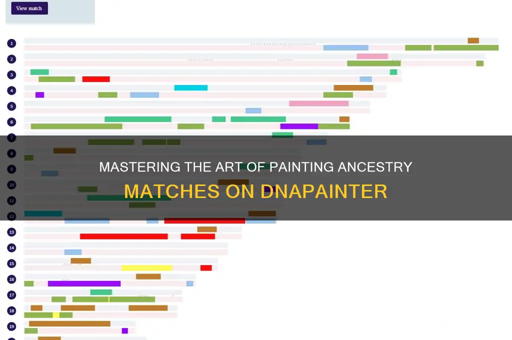 how do i paint ancestry matches on dnapainter