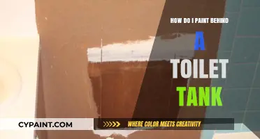 Quickly Paint Behind Your Toilet Tank
