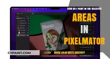 Mastering Pixelmator: Precision Painting in Selected Areas Made Easy