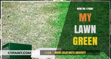 Revitalize Your Lawn: Easy Steps to Paint It Green