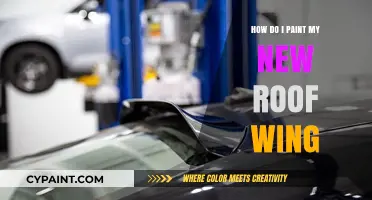 Simple Guide to Painting Your Roof Wing