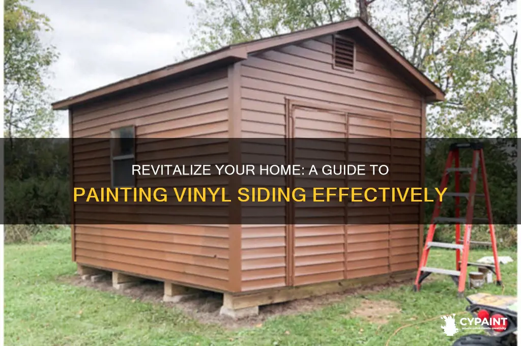 how do i paint my vinyl siding
