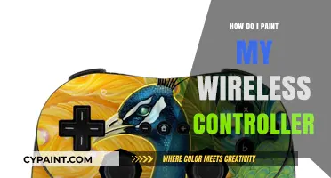 Customizing Your Wireless Controller: A Step-by-Step Painting Guide