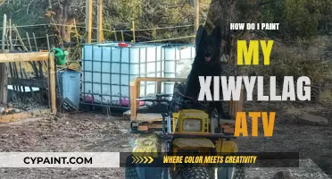 DIY Guide: Painting Your Xiwayllag ATV for a Custom Look