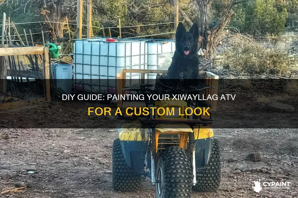 how do i paint my xiwyllag atv