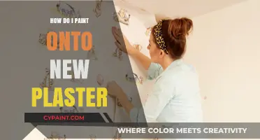 Mastering the Art of Painting on New Plaster: A Step-by-Step Guide