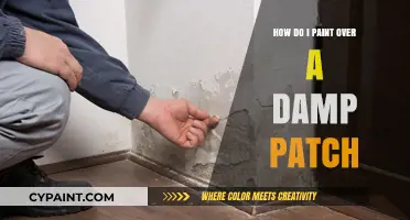 Fixing Damp Walls: Painting Over Damp Patches