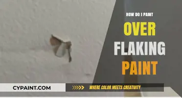 Fixing Flaking Paint: A Step-by-Step Guide to Smooth Repainting