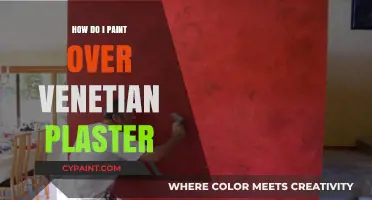 Painting Over Venetian Plaster: A Step-by-Step Guide for a Flawless Finish