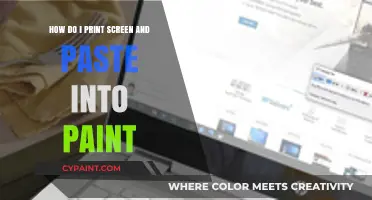 Taking Screenshots: Pasting into Paint in Easy Steps