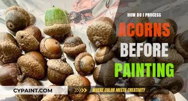 Preparing Acorns for Painting: Essential Steps for Smooth Artistic Results