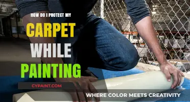 Protect Your Carpet: A Painter's Guide