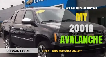 Choosing the Right Paint for Your 2018 Avalanche