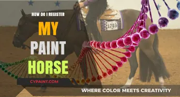 Registering Your Paint Horse: A Step-by-Step Guide for Owners