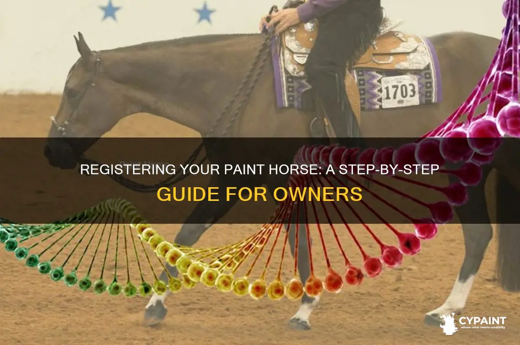 how do i register my paint horse