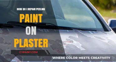 Repairing Peeling Paint on Plaster: A Step-by-Step Guide