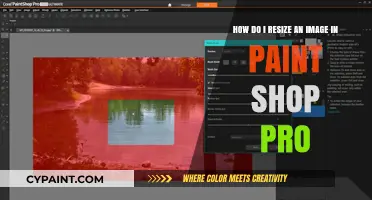 Resize Images Easily: A Paint Shop Pro Step-by-Step Guide