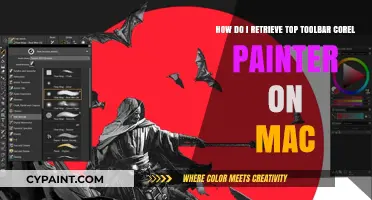 Retrieve Corel Painter's Top Toolbar on Mac: Quick Fix Guide