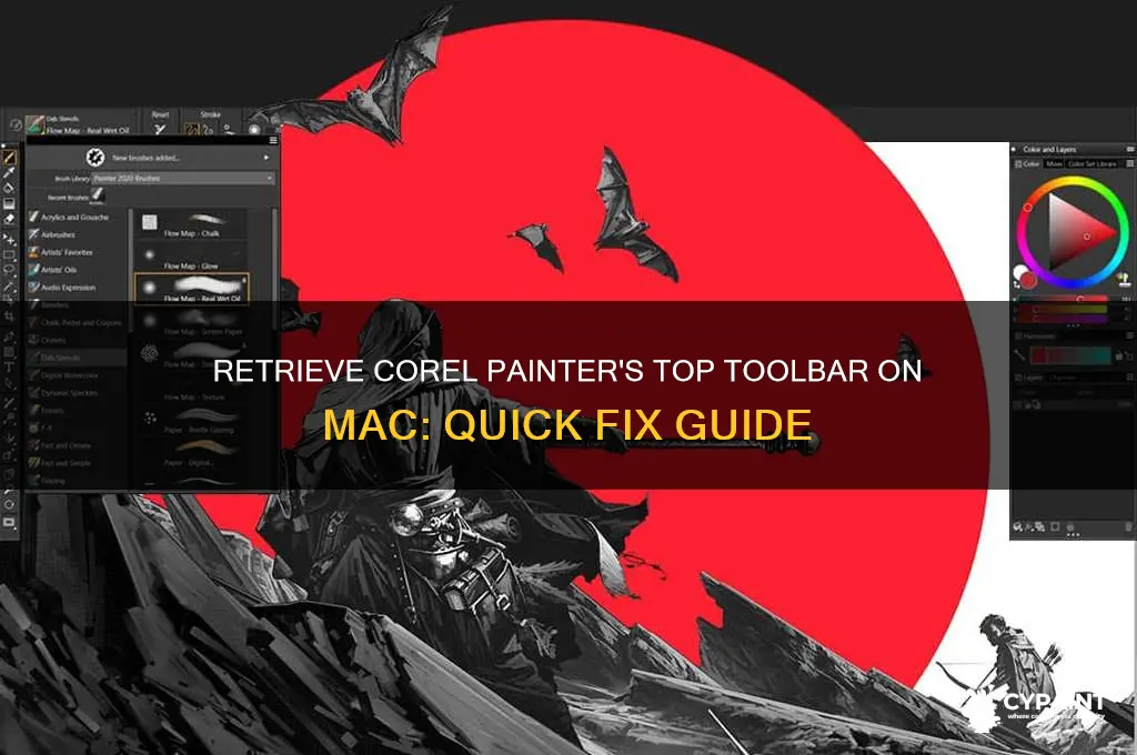 how do i retrieve top toolbar corel painter on mac