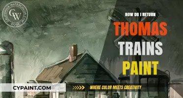 Restoring Thomas Trains: A Guide to Returning Paint to Pristine Condition