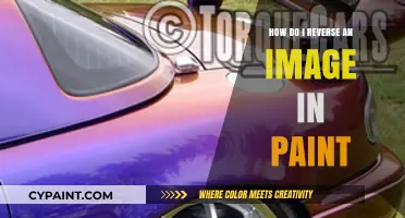 Reversing Images in Paint: A Quick Guide