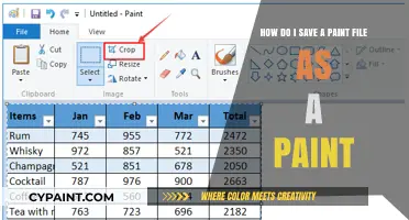 Saving Paint Files: A Step-by-Step Guide to Preserve Your Artwork