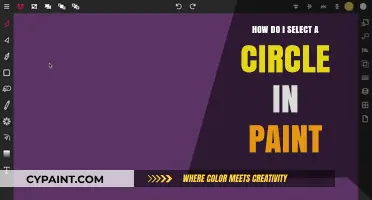 Selecting Perfect Circles in Paint: Easy Guide