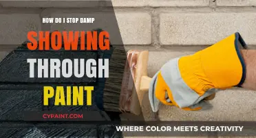Preventing Damp: Paint Protection Techniques