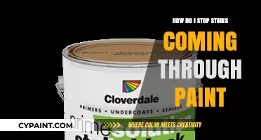 Preventing Stains: Tips for a Perfect Paint Job
