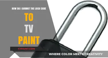 Submitting Lock Codes in TVPaint: A Step-by-Step Guide for Users