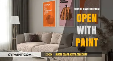 Switching from Paint: A Guide to Making the Change