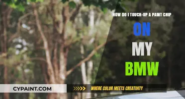 DIY BMW Paint Chip Repair: Easy Touch-Up Guide for Flawless Results