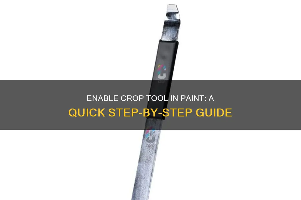 how do i turn on the crop option in paint