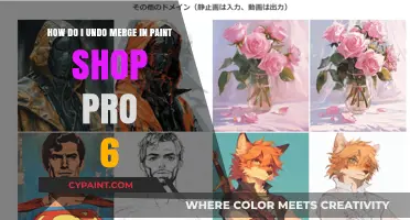 Undo Merge in Paint Shop Pro 6: A Step-by-Step Guide