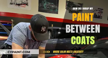 Wrapping Paint: The Art of Perfect Coating