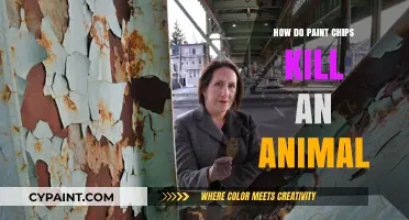 Toxic Paint Chips: Unseen Dangers to Animals and How to Prevent It