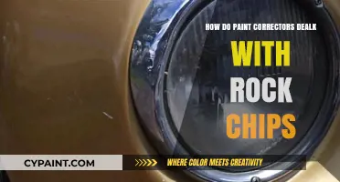 Paint Correctors: Rock Chips, No Problem!