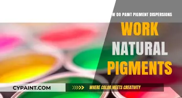 Understanding Natural Pigment Dispersions in Paint