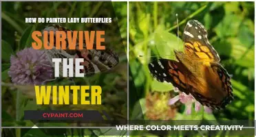 Painted Ladies: Winter Survival Secrets of a Butterfly