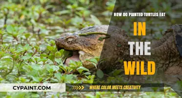 Turtles' Wild Dining: A Painted Picture