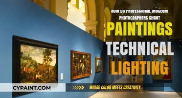 Mastering Museum Photography: Lighting Techniques for Painting Perfection