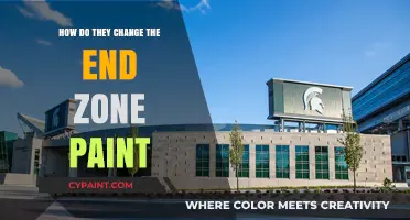 Maintaining the Game: End Zone Paint Refresh