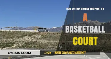 Revamping the Hardwood: The Process of Changing Basketball Court Paint