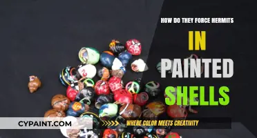 The Dark Reality of Shell Painting and Hermit Forcing