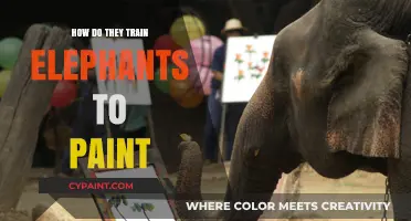 Unveiling the Art of Elephant Painting: Training Techniques and Insights