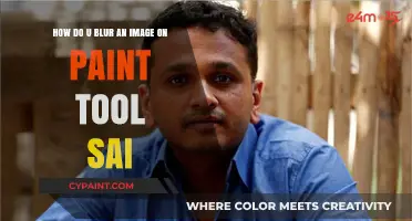 Master Blurring Images in Paint Tool SAI: A Quick Tutorial