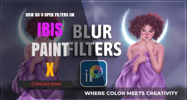 Unlocking Ibis Paint X: Accessing and Using Filters