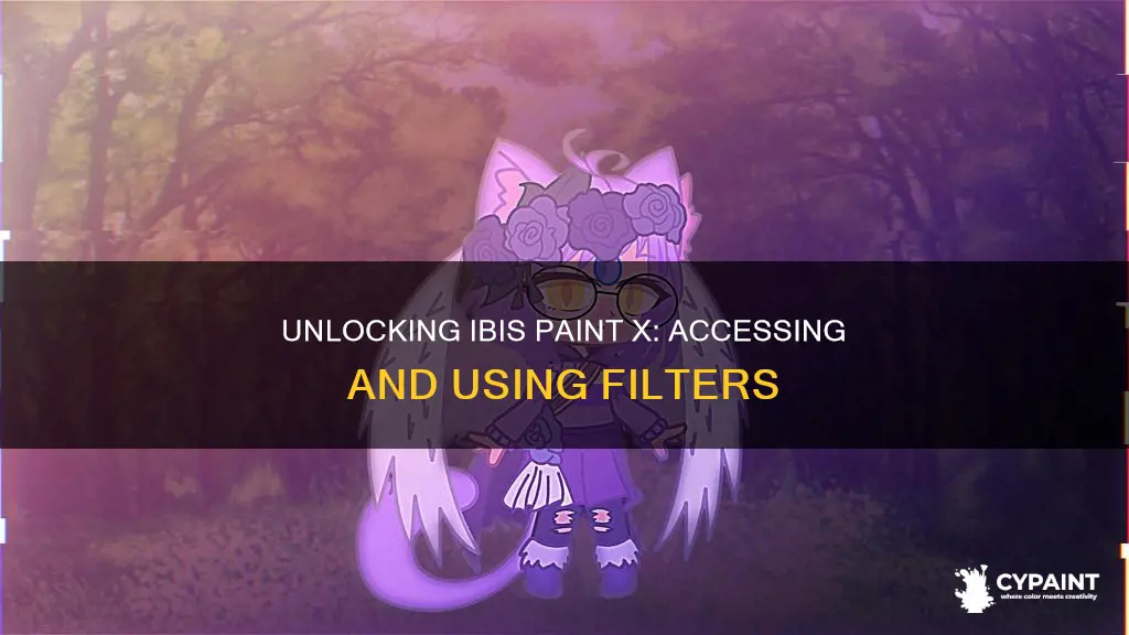 how do u open filters on ibis paint x
